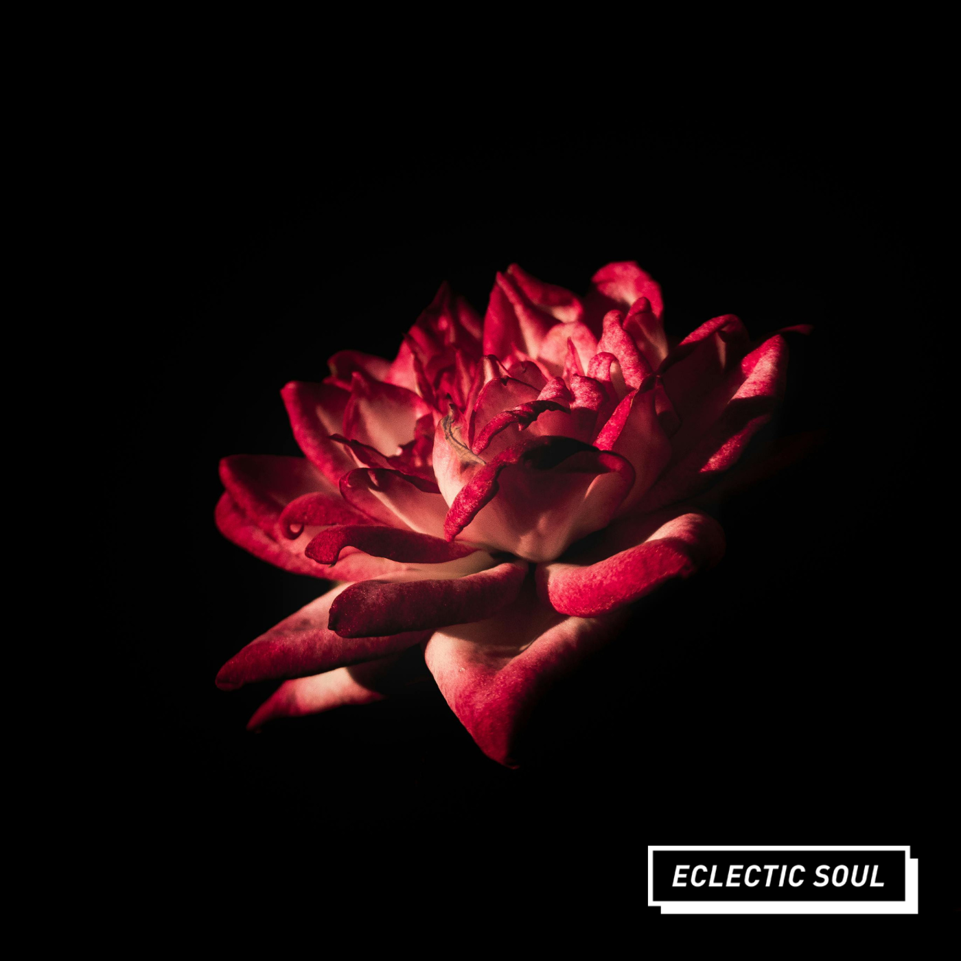 Eclectic Soul